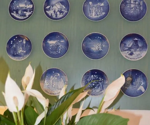 Luiselle Charming Center بيت ضيافة سورينتو