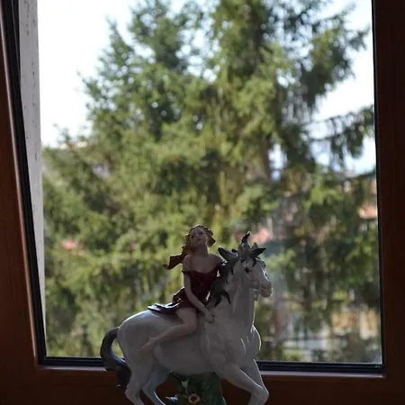 Luiselle Charming Center 게스트하우스 소렌토